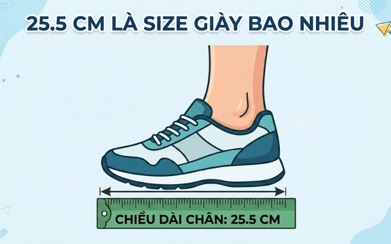 Giải đáp: 25.5 cm là size giày bao nhiêu và cách chọn giày chuẩn nhất