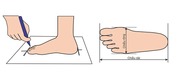 Các yếu tố ảnh hưởng đến kích thước size giày Dior