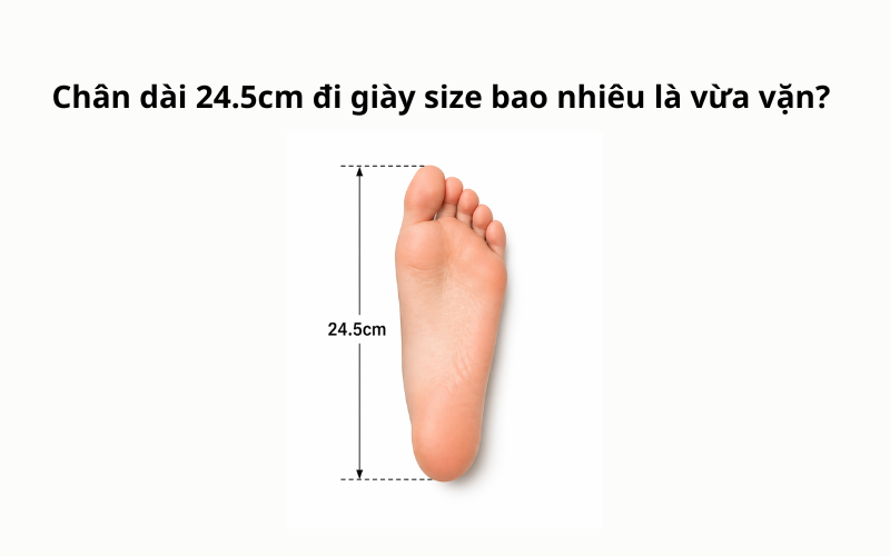 Chân dài 24.5cm đi giày size bao nhiêu là vừa vặn?