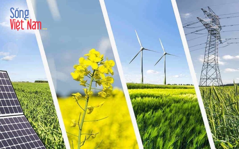Doanh nghiệp Việt chuyển mình mạnh mẽ sau cam kết Net Zero 46 Biến đổi khí hậu thúc đẩy Việt Nam chuyển đổi xanh, với doanh nghiệp là lực lượng nòng cốt trong hành trình Net Zero