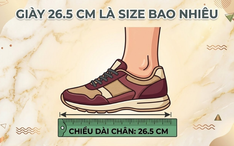 Giày 26.5 cm là size bao nhiêu? Hướng dẫn chọn size chuẩn xác cho người mua online