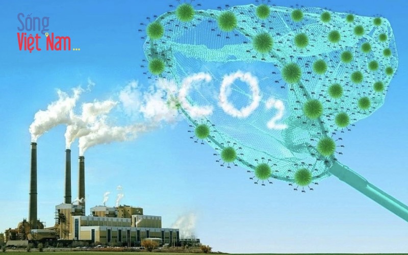 Hải Phòng (trước sáp nhập) thí điểm sàn giao dịch carbon vào 2026, hướng tới Net-zero 2050 47 Sàn giao dịch carbon, công cụ giảm phát thải khí nhà kính hiệu quả