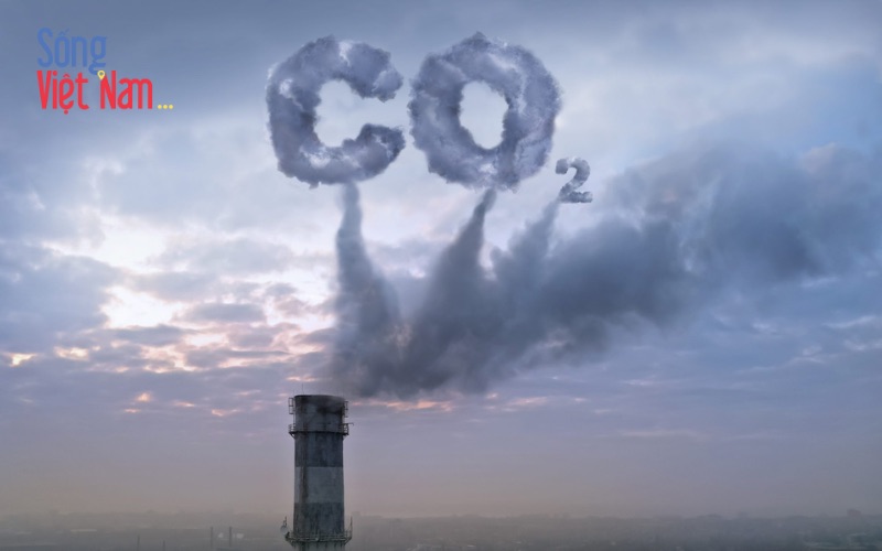 Thách thức Net Zero khi CO² vượt ngưỡng báo động: Việt Nam cần chiến lược đột phá 25 Thách thức Net Zero khi CO² vượt ngưỡng báo động: Việt Nam cần chiến lược đột phá