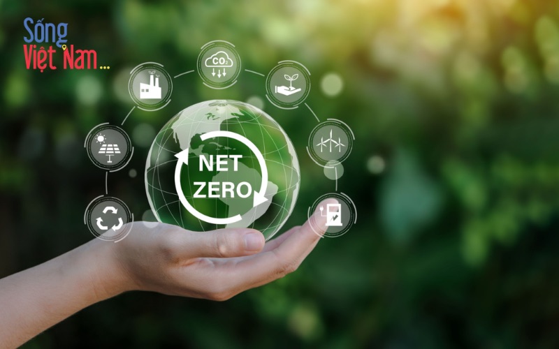 4 Tiêu chuẩn Net Zero của doanh nghiệp nên có 22 4 Tiêu chuẩn Net Zero của doanh nghiệp nên có