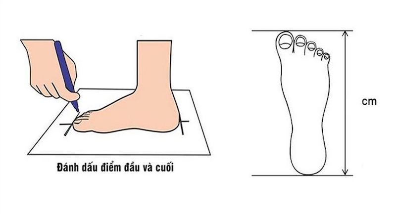 Bảng size giày MLB chuẩn quốc tế & cách chọn size chính xác 18 Bảng size giày MLB chuẩn quốc tế & cách chọn size chính xác