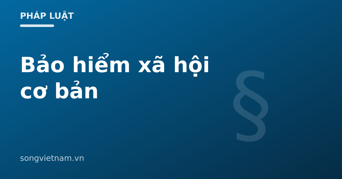 Bảo Hiểm Xã Hội Cơ Bản: Bảo Vệ Những Gì Và Vì Sao Không Nên Rút 1 Lần 46 Bảo Hiểm Xã Hội Cơ Bản: Bảo Vệ Những Gì Và Vì Sao Không Nên Rút 1 Lần