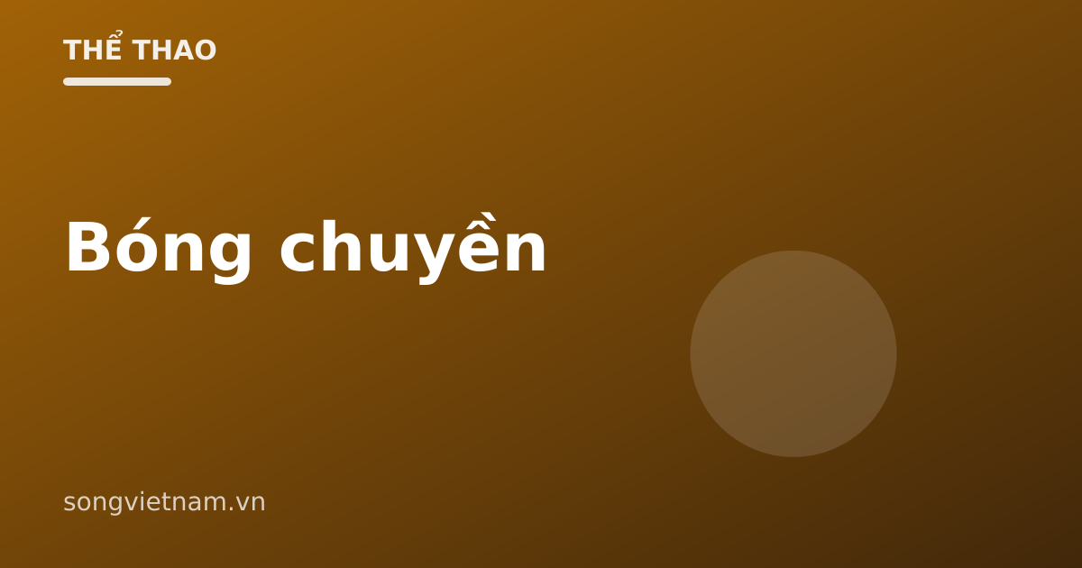 Bóng Chuyền: Luật Cơ Bản Và Kỹ Thuật Đỡ – Chuyền – Đập
