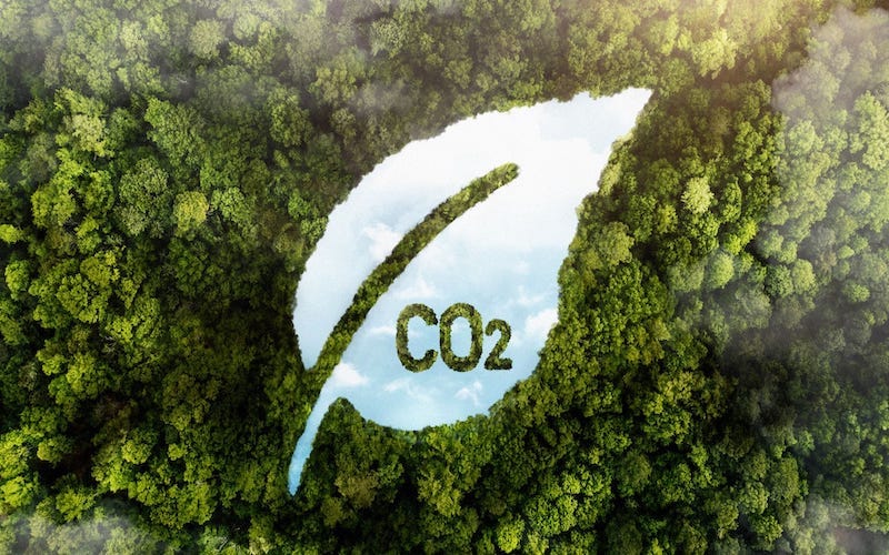 Bù đắp Carbon (Carbon Offset) là gì? Lợi ích và cách thực hiện hiệu quả 47 Bù đắp carbon giúp cân bằng khí nhà kính qua dự án môi trường như trồng rừng