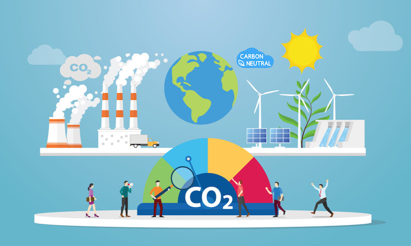 Bù đắp Carbon (Carbon Offset) là gì? Lợi ích và cách thực hiện hiệu quả 50 Quy trình thực hiện bù đắp carbon