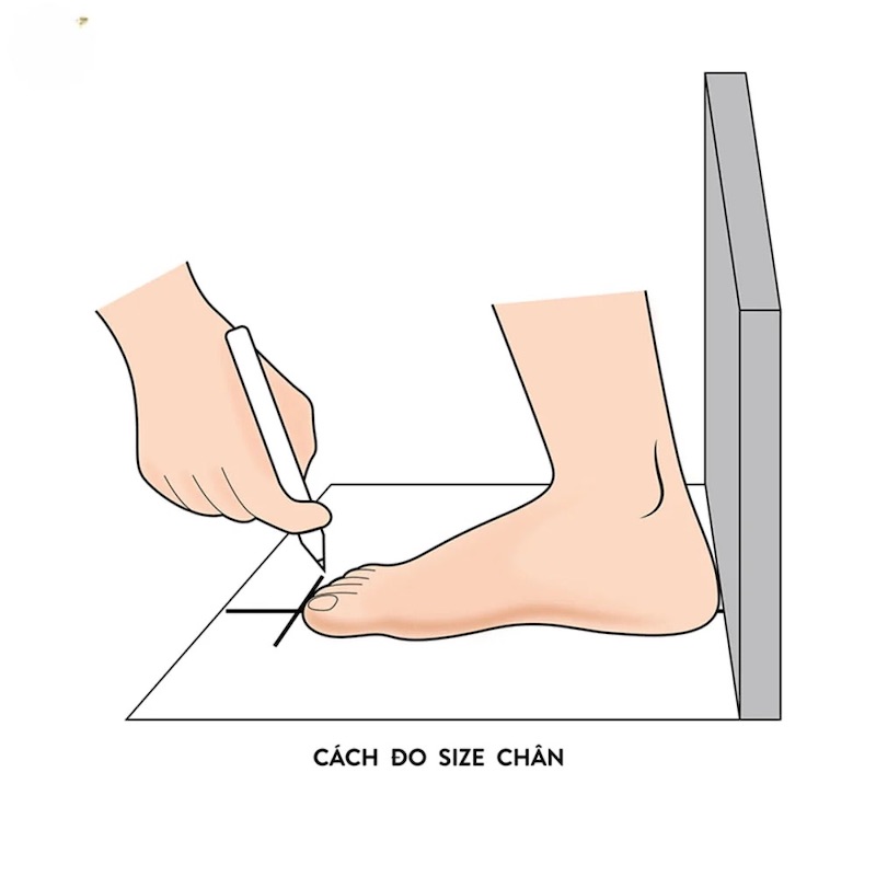 Cách chọn giày cầu lông theo dáng chân, lối chơi, size 47 Cách xác định size giày chuẩn