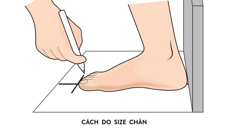Cách chọn giày thể thao cho người chân to thon gọn, thoải mái 47 Đừng chọn giày quá chật, hãy đo chân và chọn đúng size để thoải mái và tôn dáng