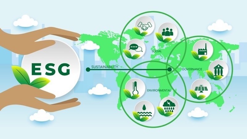 Cam kết Net Zero ngành dệt may Việt Nam: Lộ trình và giải pháp 50 Phần lớn doanh nghiệp chưa có đội ngũ chuyên trách ESG hoặc khả năng đo lường phát thải