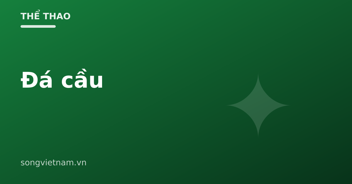 Đá Cầu: Nguồn Gốc, Cách Chơi Và Kỹ Thuật Cơ Bản