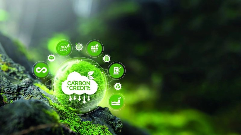 Diễn đàn Net Zero Việt Nam 2025: Thị trường carbon trong kỷ nguyên mới 47 Việt Nam thúc đẩy thị trường carbon minh bạch, hướng tới vận hành từ 2025