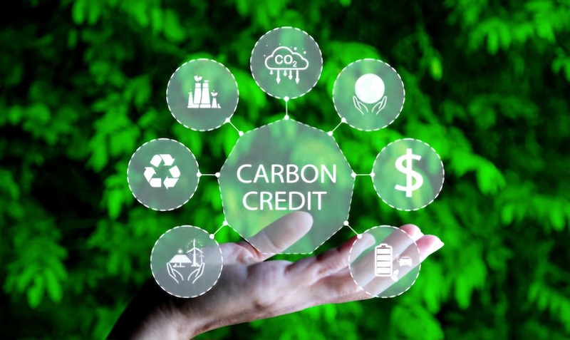Diễn đàn Net Zero Việt Nam 2025: Thị trường carbon trong kỷ nguyên mới 48 Thị trường carbon Việt Nam đối mặt thách thức về hạ tầng, liên kết và nhận thức