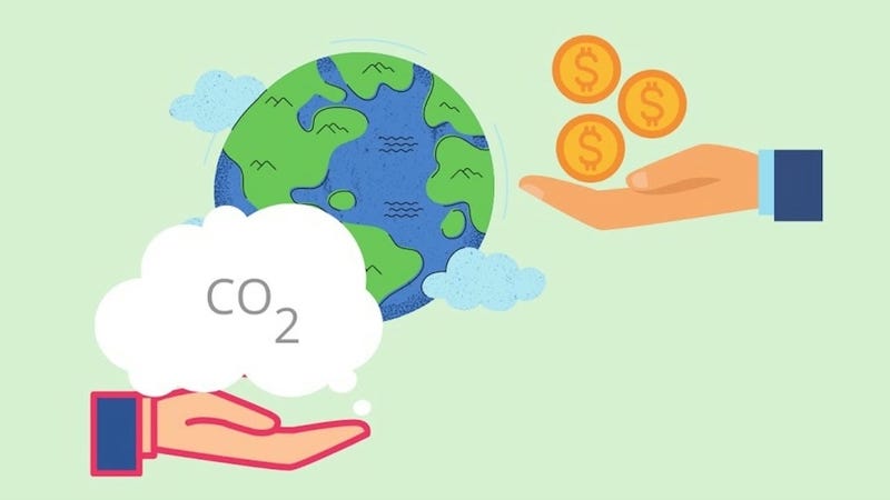 Diễn đàn Net Zero Việt Nam 2025: Thị trường carbon trong kỷ nguyên mới 49 Doanh nghiệp giữ vai trò trung tâm trong giảm phát thải và phát triển thị trường carbon