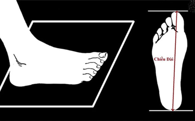 Hướng dẫn cách đo size giày Lining chuẩn nhất