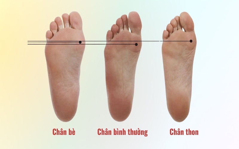 Giày cho người chân bè: Bí quyết chọn sneaker chuẩn và đẹp nhất 46 Đặc điểm của chân bè