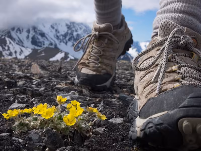 Thế nào là một đôi giày leo núi, giày trekking tốt? Tiêu chí chọn chuẩn nhất