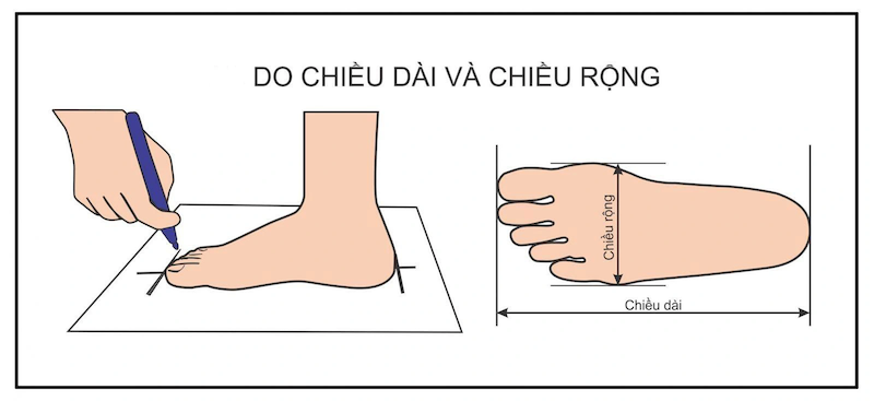 Giày thể thao leo núi: Những tiêu chí quan trọng cần biết 46 Xác định dáng bàn chân và kích thước