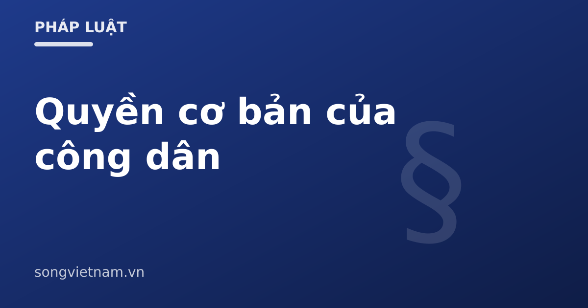 Quyền Cơ Bản Của Công Dân Việt Nam Theo Hiến Pháp