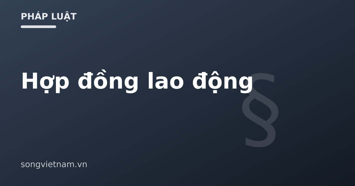 Hợp Đồng Lao Động: Điều Cần Biết Và 5 Điểm Kiểm Tra Trước Khi Ký 46 Hợp Đồng Lao Động: Điều Cần Biết Và 5 Điểm Kiểm Tra Trước Khi Ký