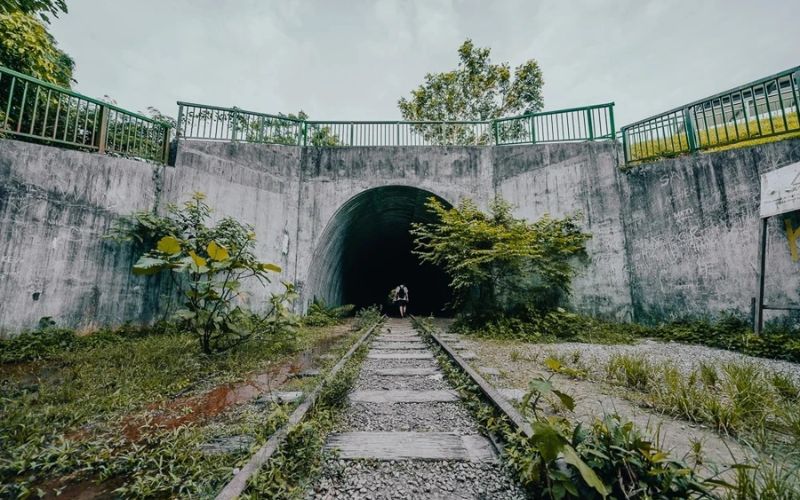 3 điểm đến bí ẩn cho hành trình khám phá Singapore đầu năm mới 47 Clementi Road Railway Tunnel - Đường hầm phủ rêu giữa rừng xanh