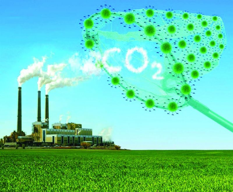 Khí thải của Google tiếp tục tăng do chuỗi cung ứng: Thách thức trên hành trình trung hòa carbon 47 Google giảm phát thải trực tiếp, nhưng Scope 3 tăng do chuỗi cung ứng còn phụ thuộc điện than