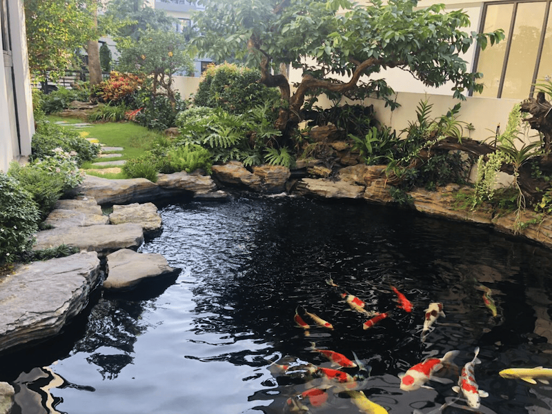 Gợi ý 30 mẫu sân vườn đẹp tự thi công đơn giản và độc đáo nhất 54 Thiết kế hồ nước trong khuôn viên