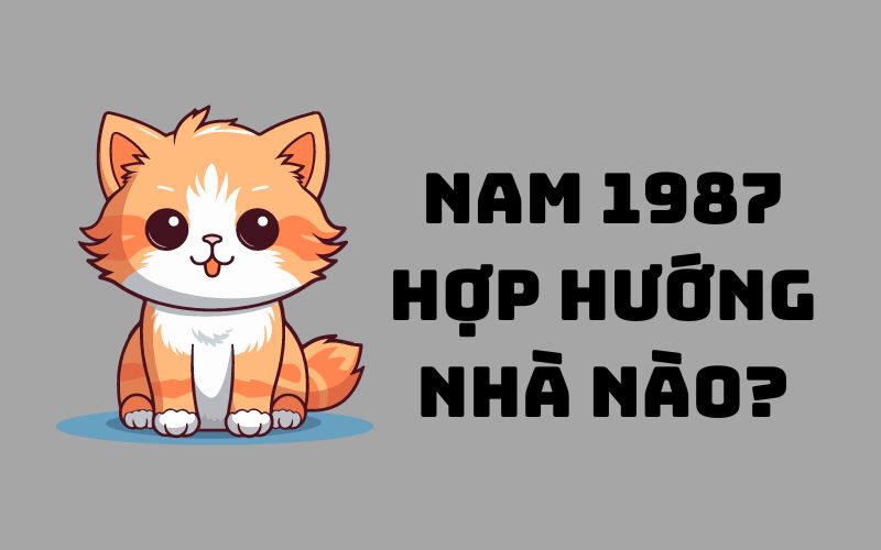 Nam 1987 hợp hướng nhà nào là tốt nhất?