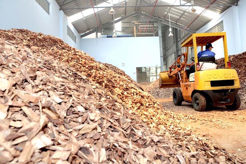 Năng lượng sinh khối tại Việt Nam: Tiềm năng và ứng dụng phát triển bền vững 47 Năng lượng sinh khối tận dụng phế phẩm nông nghiệp để tạo nhiên liệu sạch