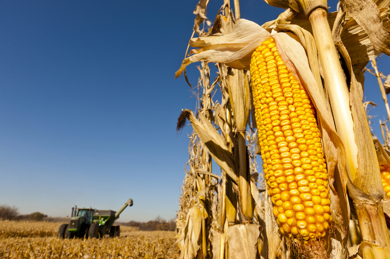 Năng lượng sinh khối tại Việt Nam: Tiềm năng và ứng dụng phát triển bền vững 48 Ethanol là nhiên liệu sinh học làm từ bã mía, ngô và cây trồng khác