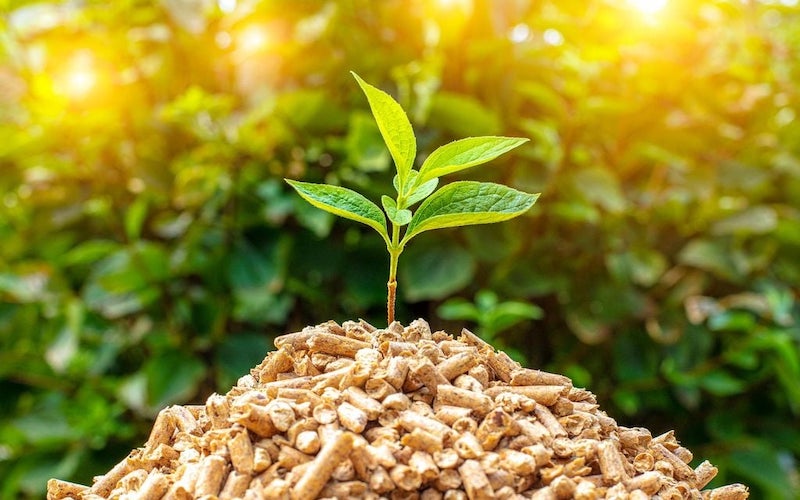 Năng lượng sinh khối tại Việt Nam: Tiềm năng và ứng dụng phát triển bền vững 12 Năng lượng sinh khối tại Việt Nam: Tiềm năng và ứng dụng phát triển bền vững
