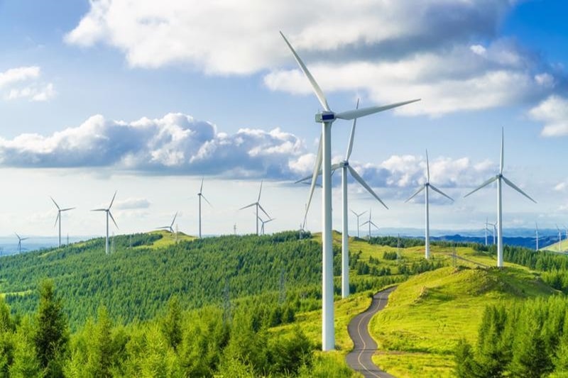 Năng lượng xanh mở đường cho mục tiêu Net Zero của Việt Nam 48 Doanh nghiệp tư nhân dẫn đầu chuyển đổi năng lượng xanh, nhưng cần chính sách rõ ràng