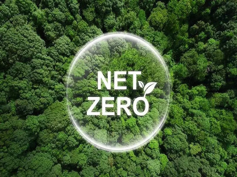 Net Zero là gì? Tầm quan trọng và biện pháp giảm thải ròng bằng 0