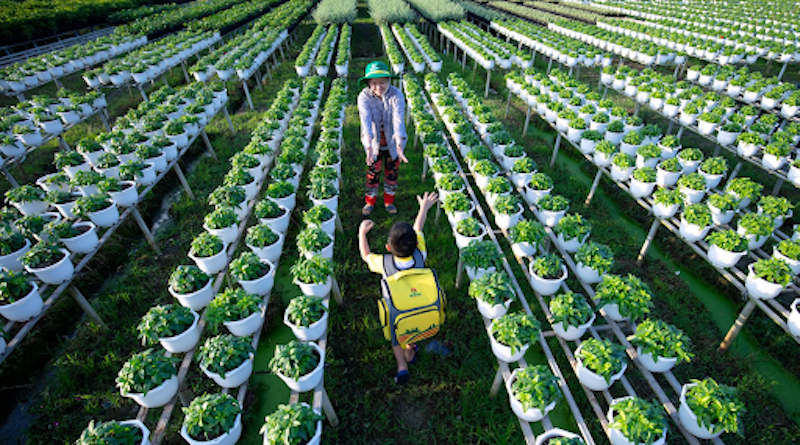 PVCFC ra mắt Báo cáo Phát triển bền vững 2024: Đột phá chuẩn mực ESG, hướng tới Net Zero 17 PVCFC ra mắt Báo cáo Phát triển bền vững 2024