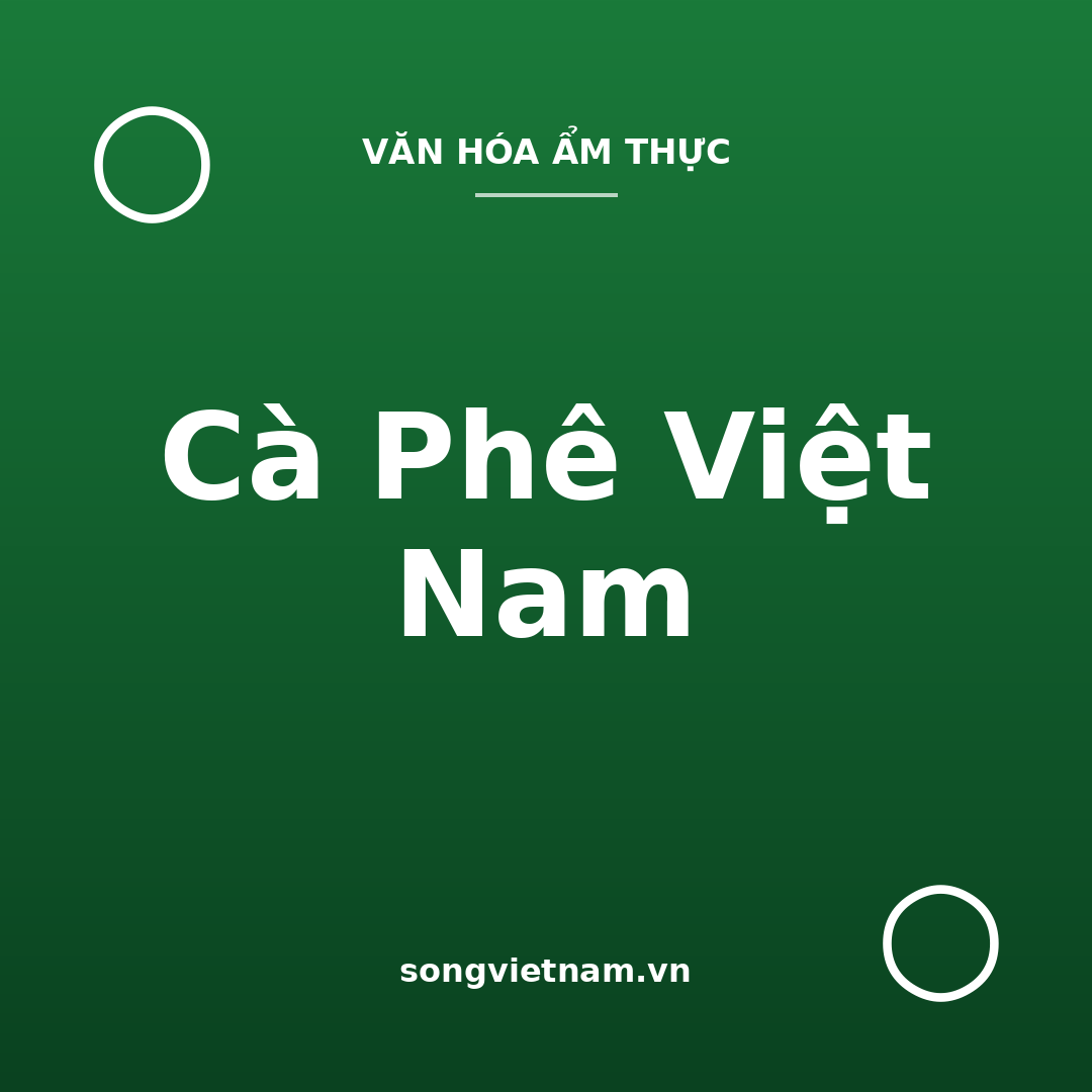 Cà Phê Việt Nam: Robusta, Pha Phin Và Các Cách Uống Đặc Trưng
