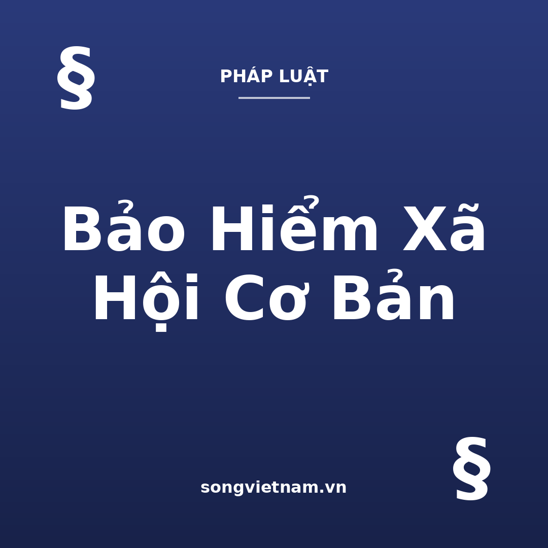 Bảo Hiểm Xã Hội Cơ Bản: Bảo Vệ Những Gì Và Vì Sao Không Nên Rút 1 Lần