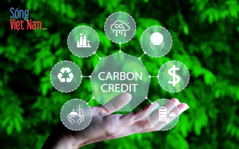 Việt Nam đề xuất tăng tỷ lệ mua tín chỉ carbon cho doanh nghiệp để thúc đẩy Net Zero 2050 37 Việt Nam đề xuất tăng tỷ lệ mua tín chỉ carbon cho doanh nghiệp để thúc đẩy Net Zero 2050
