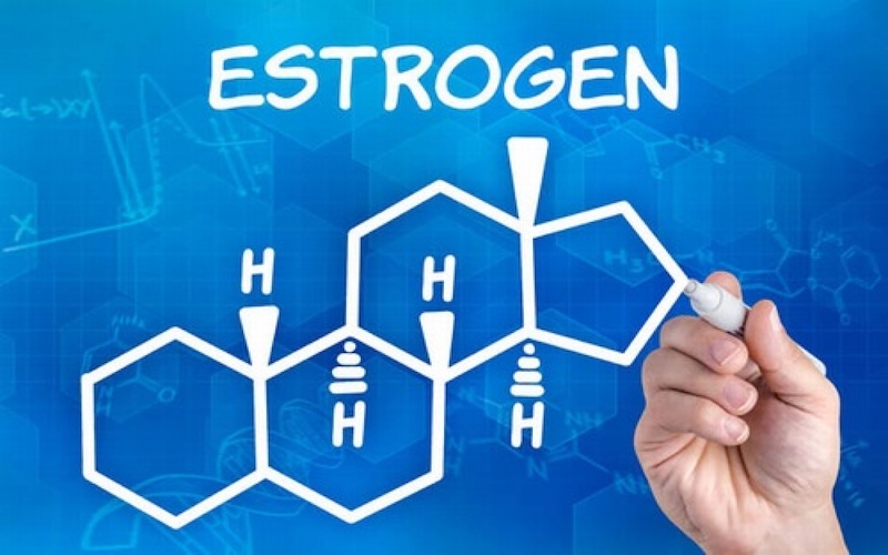 Tác dụng của estrogen đối với phụ nữ