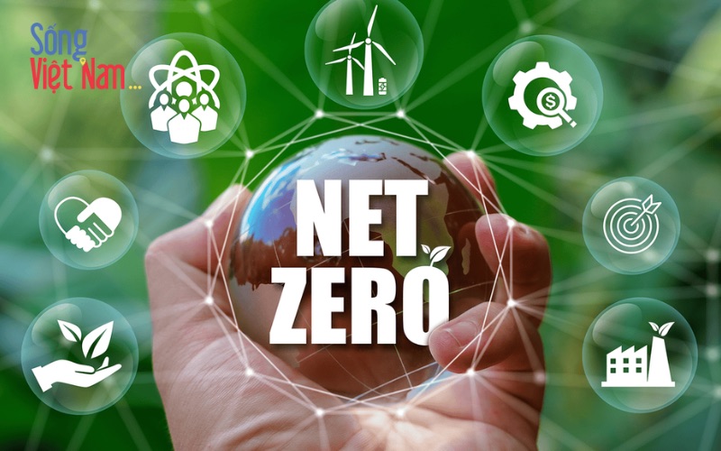 4 Tiêu chuẩn Net Zero của doanh nghiệp nên có 45 Thiết lập mục tiêu giảm phát thải ngắn hạn là bước đầu tiên và then chốt trong hành trình Net Zero