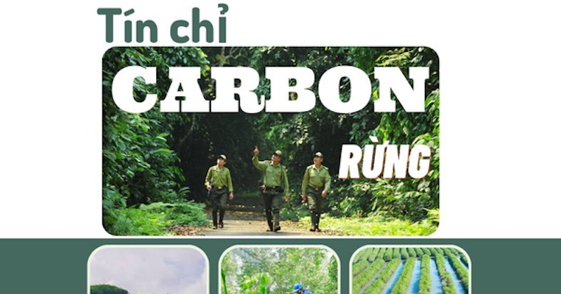 Tín chỉ carbon rừng chất lượng cao: Cung không đủ cầu dù giá cao 25 Tín chỉ carbon rừng chất lượng cao: Cung không đủ cầu dù giá cao