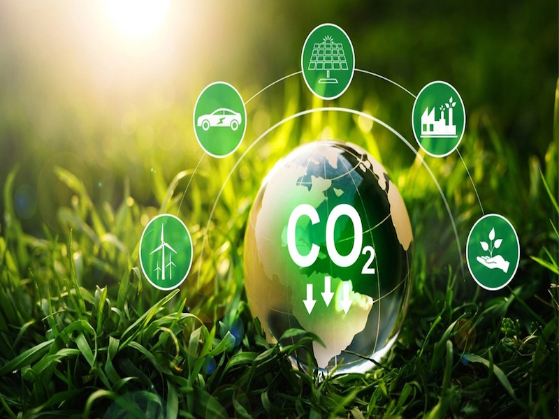 Tín chỉ CO2 là gì: Những điều có thể bạn chưa biết