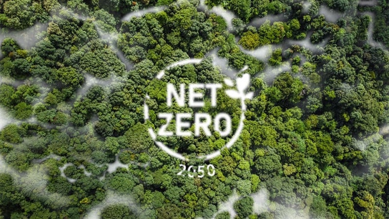 Từ cam kết Net Zero của Việt Nam đến động lực phát triển kinh tế xanh 49 Cần chính sách đồng bộ để biến cam kết Net Zero thành động lực phát triển bền vững
