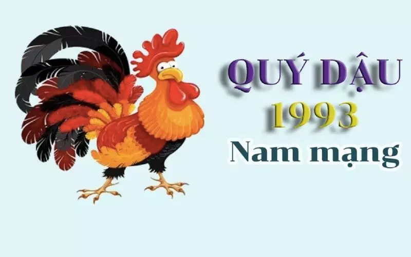 Nam tuổi 1993 hợp hướng nào?