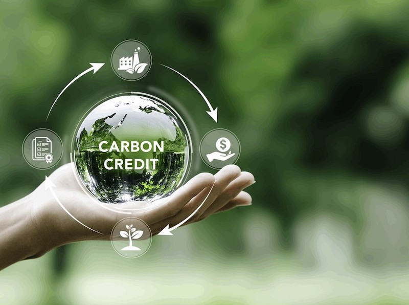 Vì sao các hãng vẫn bán xe xăng mà không lo vỡ cam kết Net Zero? 46 Cơ chế tín chỉ carbon "phép màu" để cân bằng phát thải
