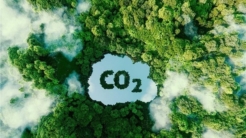 Việt Nam xây dựng thị trường carbon: Từ cam kết Net Zero đến "tiền tệ xanh" của tương lai 48 Thách thức và động lực thúc đẩy phát triển thị trường carbon trong nước