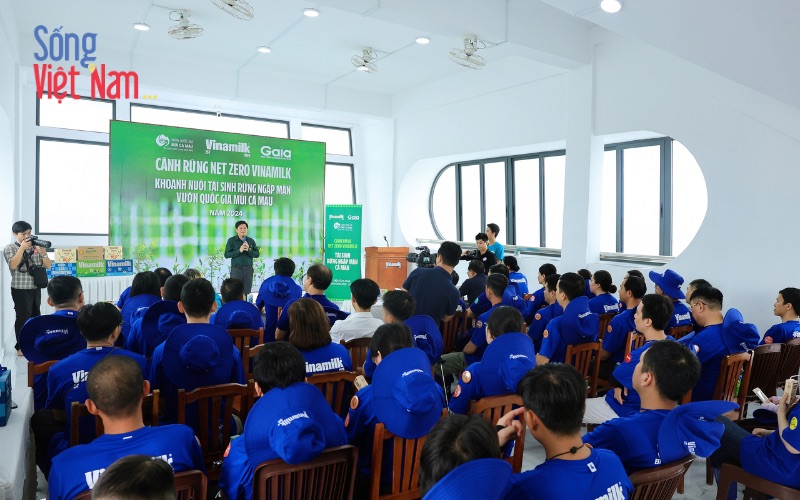 Vinamilk chung tay tái sinh rừng ngập mặn, hướng tới mục tiêu Net Zero 2050 46 Hơn 50 nhân viên Vinamilk tham gia tái sinh rừng